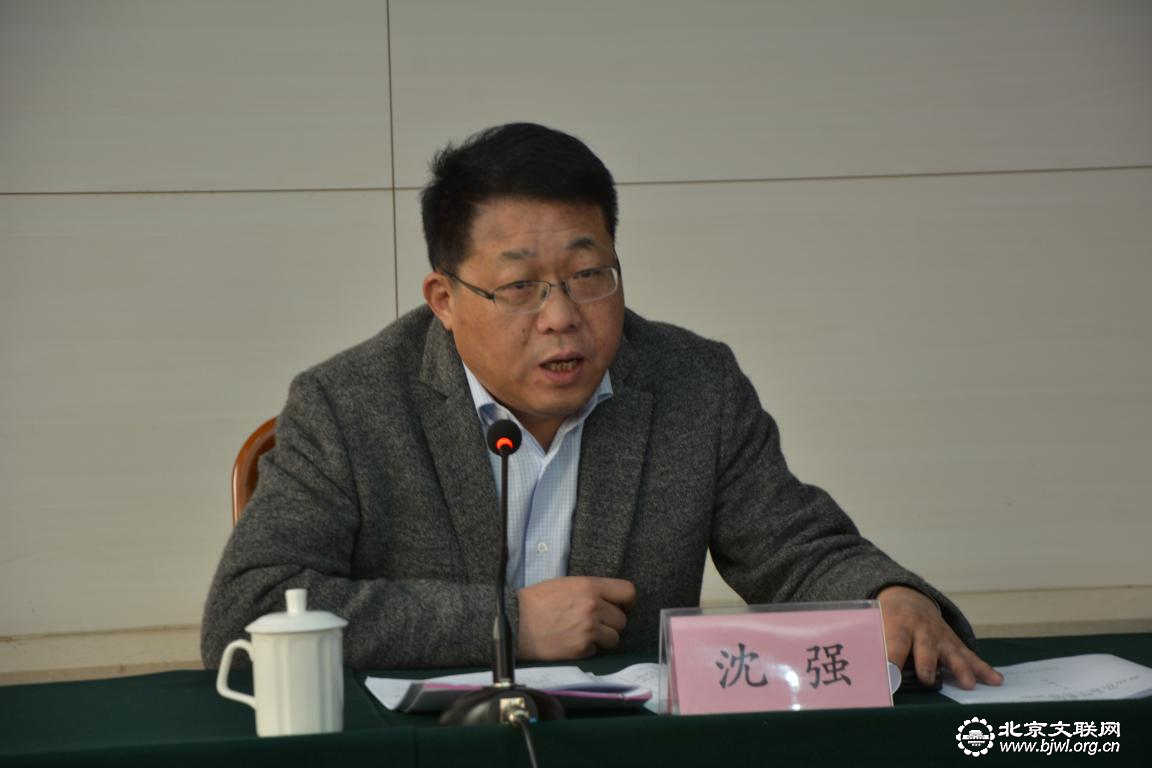 北京市文联党组书记沈强讲话