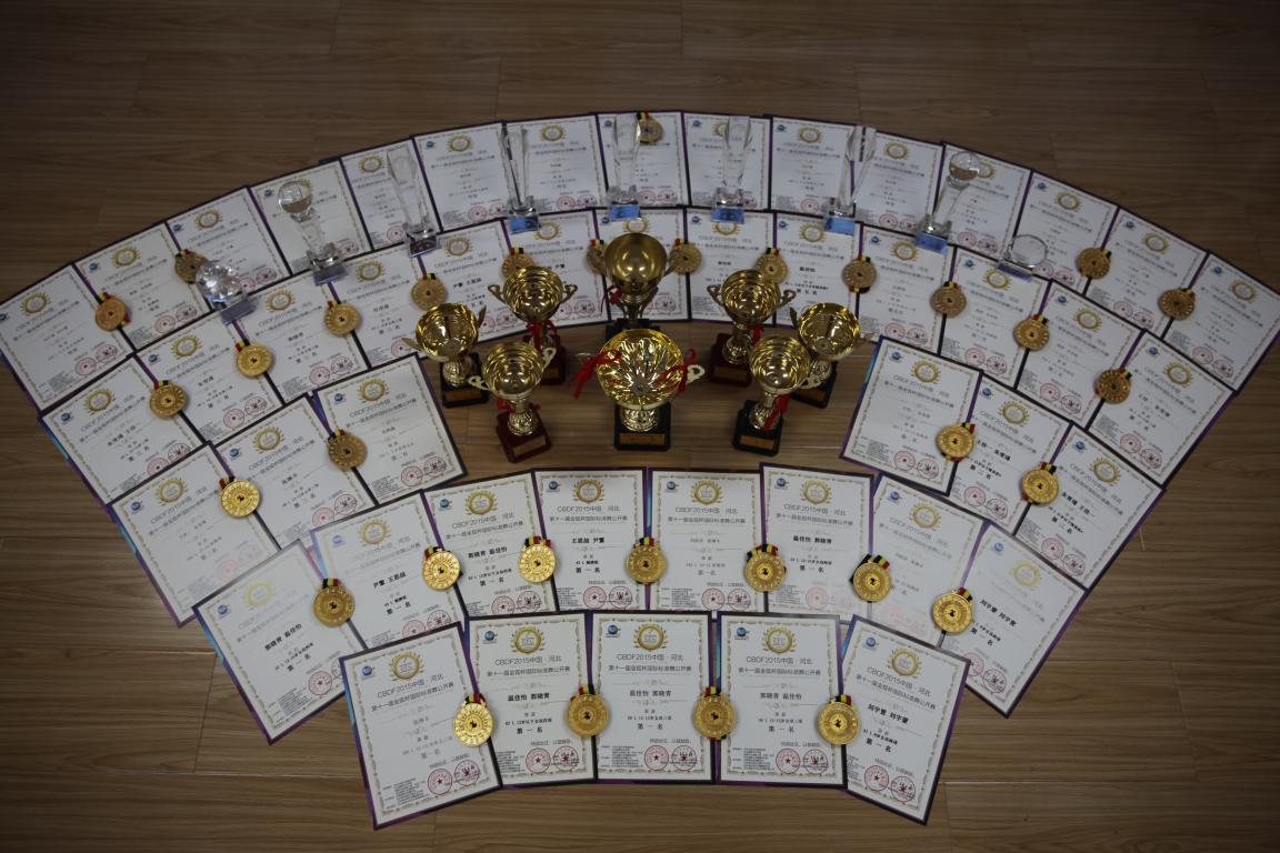 获奖证书及奖章