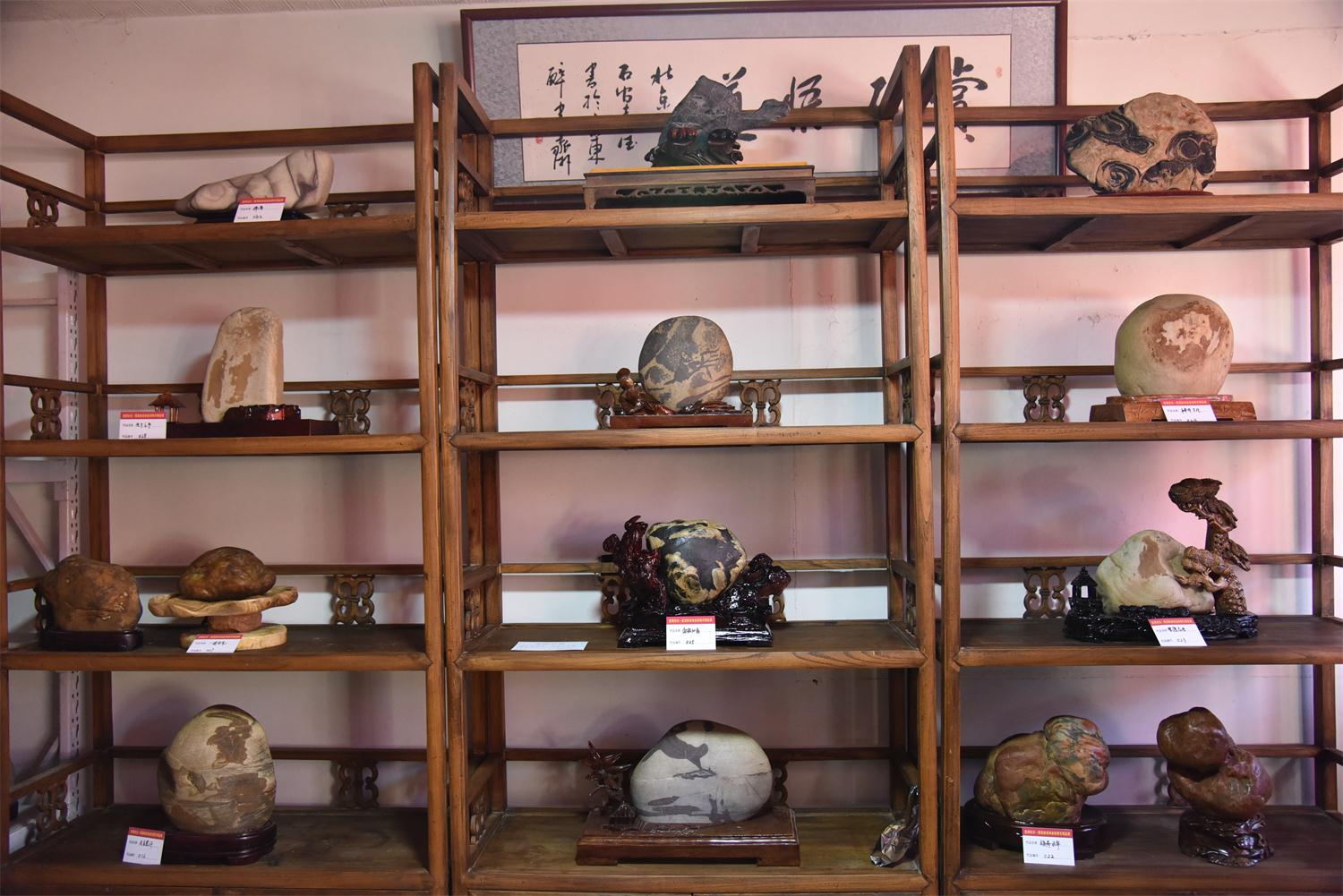 展出作品